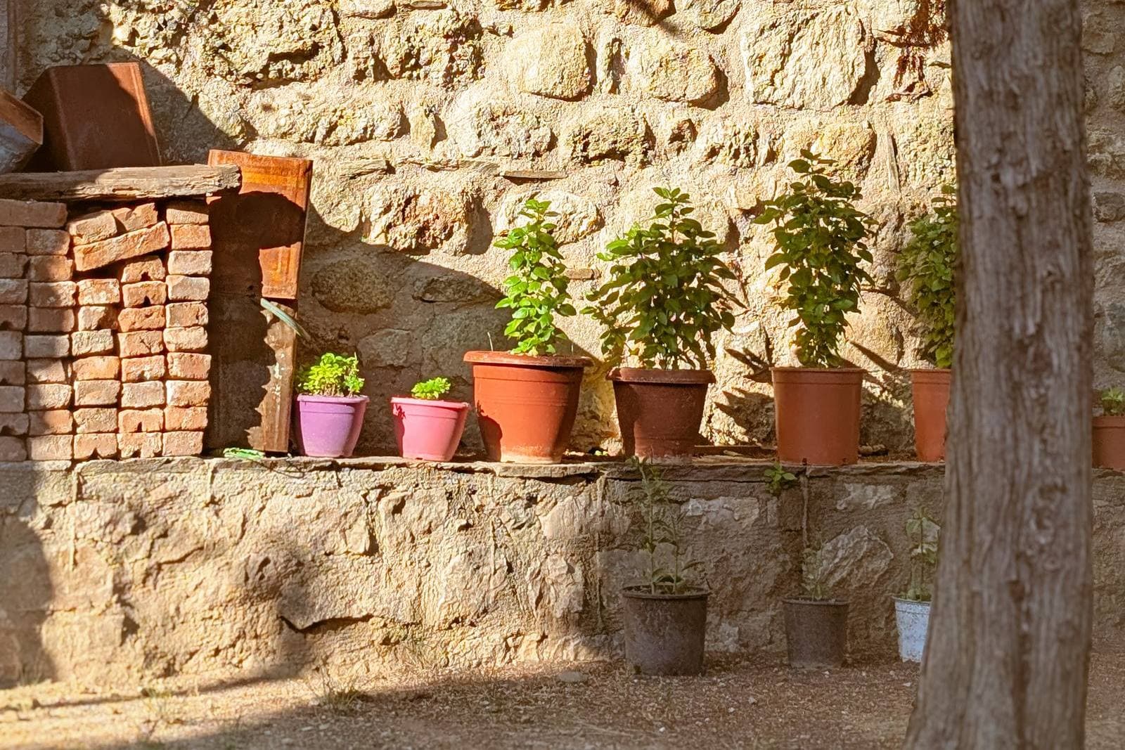 Villa Le Rose